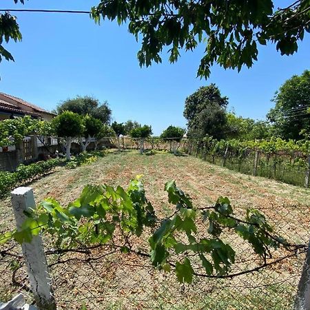 Lemon Tree Apartment Agios Gordios  Exterior photo