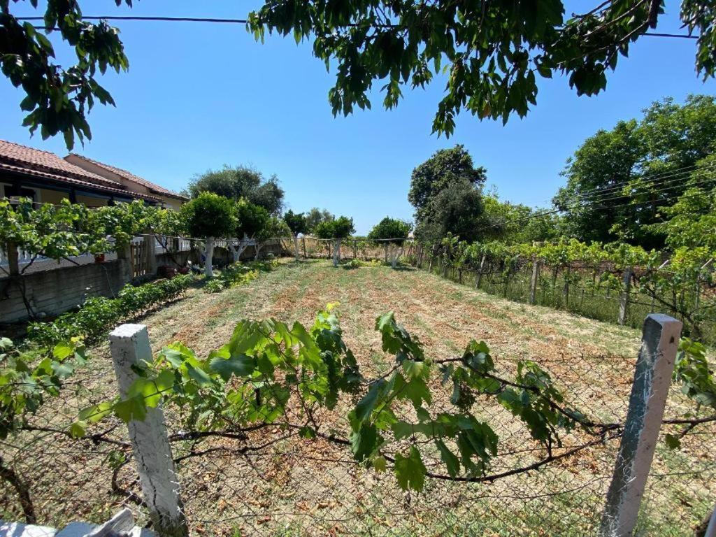 Lemon Tree Apartment Agios Gordios  Exterior photo